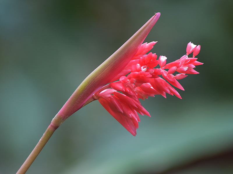 微信圖片_20230324182222