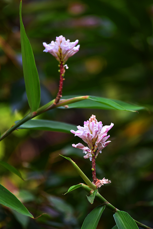 微信圖片_20230324182209