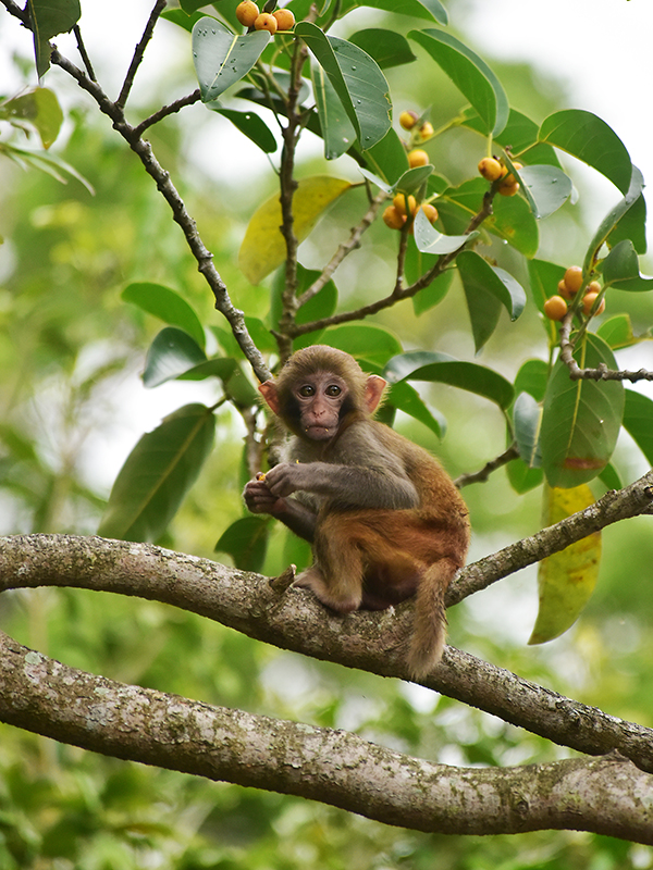 20230403100544_13080