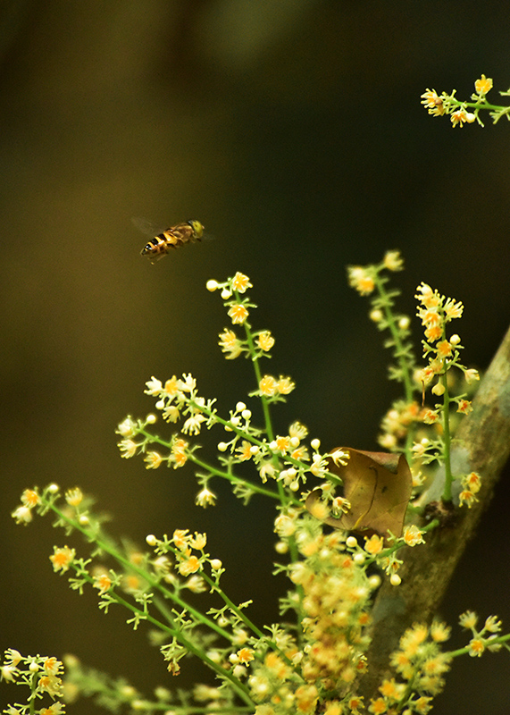 微信圖片_20230419165230