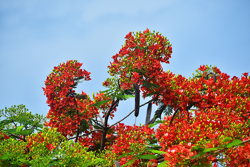 20230605143942_77462