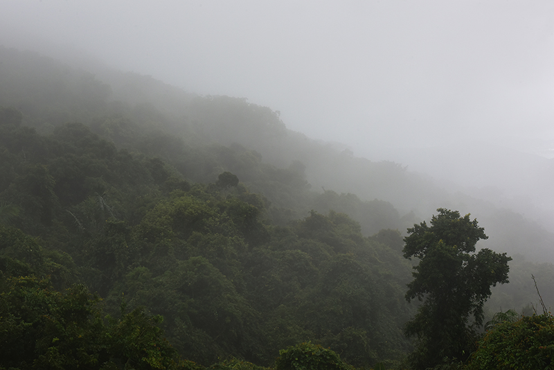 20231019170751_37848