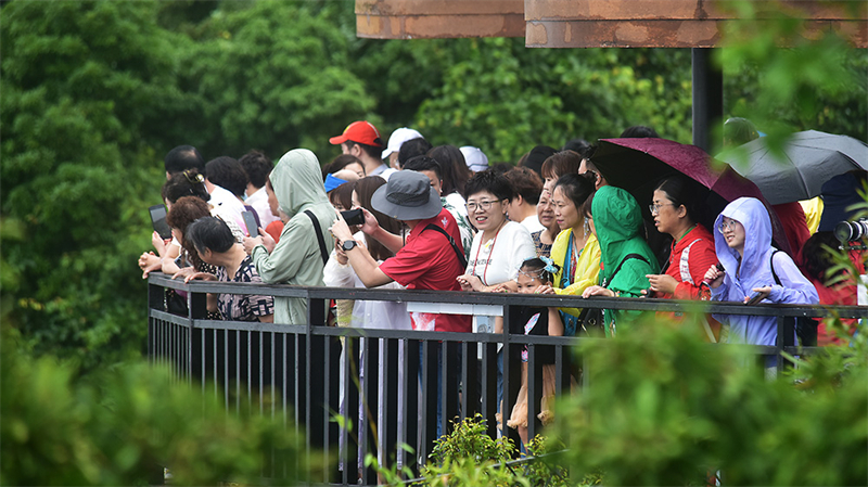 20231108222346_94960