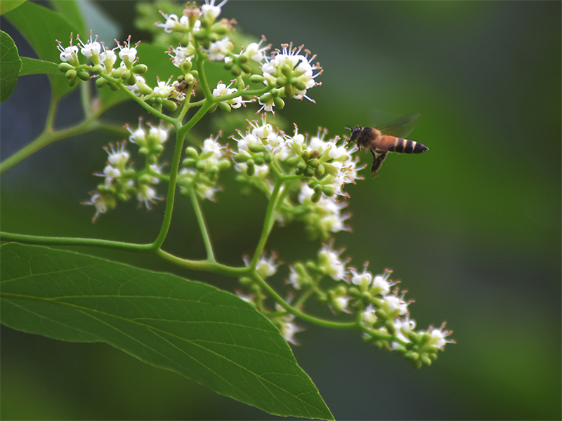 20231117100449_24977 20231117100449_24977