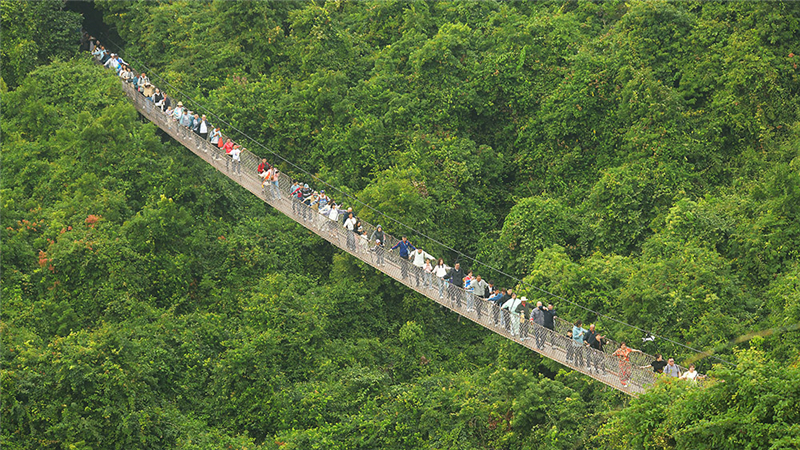 20240211232937_16332 20240211232937_16332