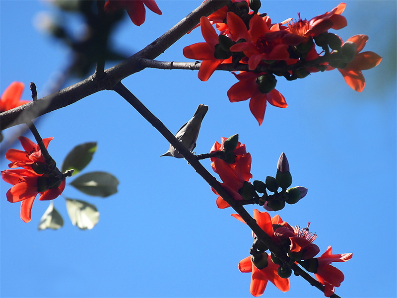 20240220171531_87660