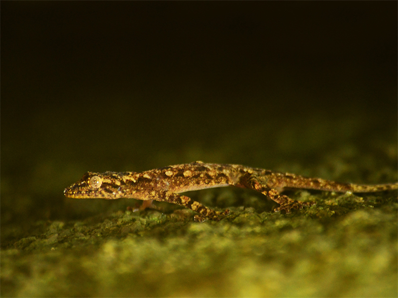 20240815164700_87272