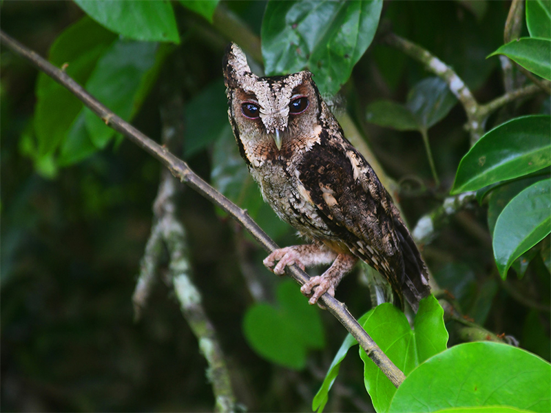 20240815165214_30934