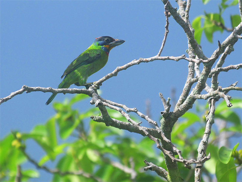 20240815165028_96217