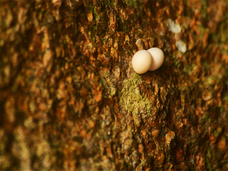 20240815164715_61089