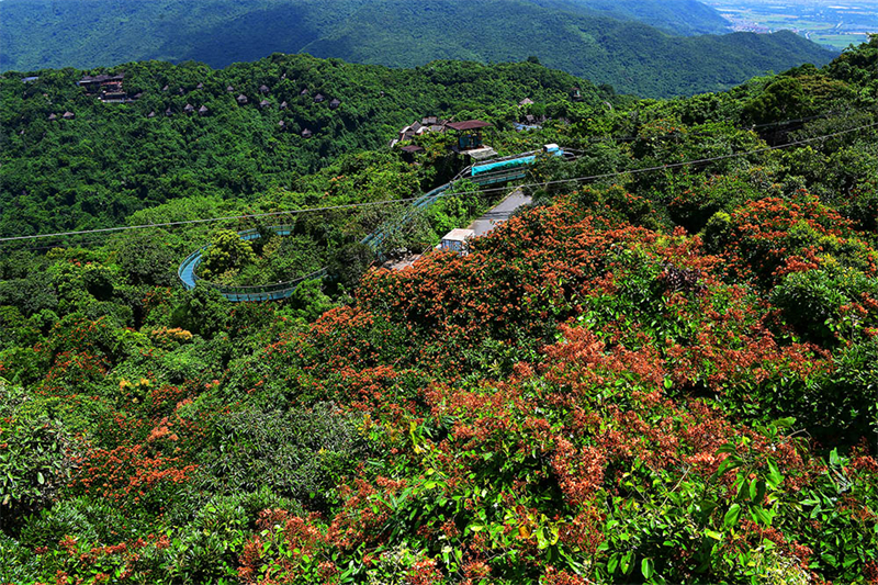 20240826165252_15450