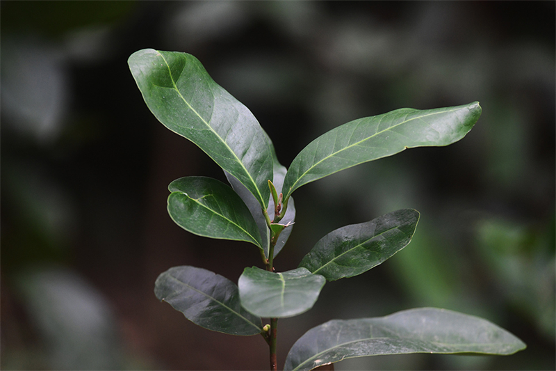 20241231165926_21066