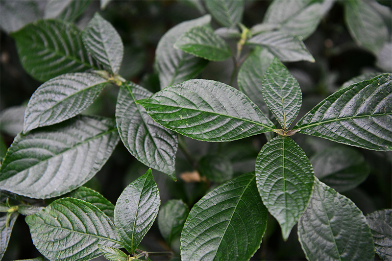 20241231165649_81367