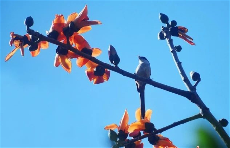 微信圖片_20250221204010