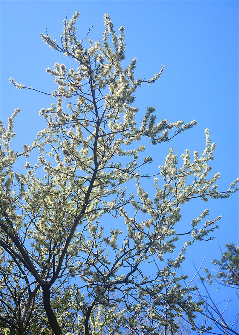 20250305211148_40075 20250305211148_40075